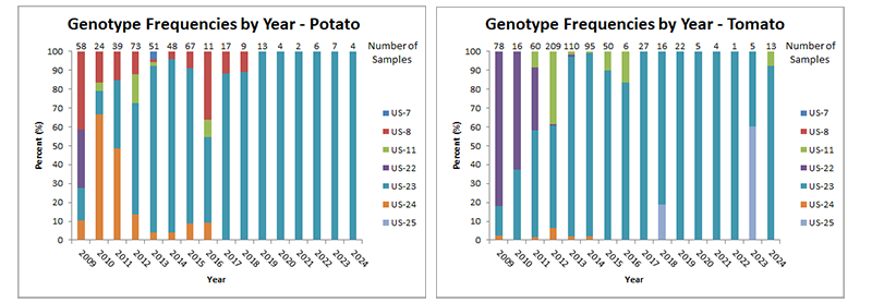 Genotype frequency chart for samples collected between 2009 and 2024 for potato and tomato. For both hosts there is a general trend for US-23 dominance.